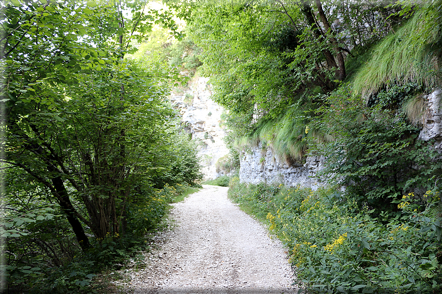 foto Strada delle Penise